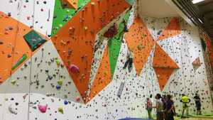 mur escalade Camille Sée Colmar