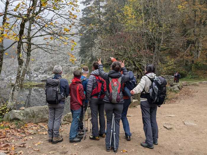 2024 11 01 Cv Schaefertal 004