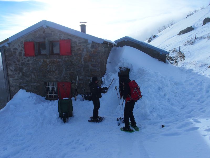 we schaefertal 3