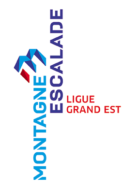 logo ligue grand est 2