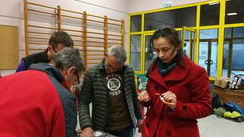 Colmar vertical inventaire 2019 04
