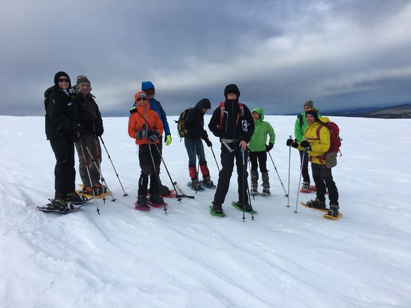 we schaefertal 1